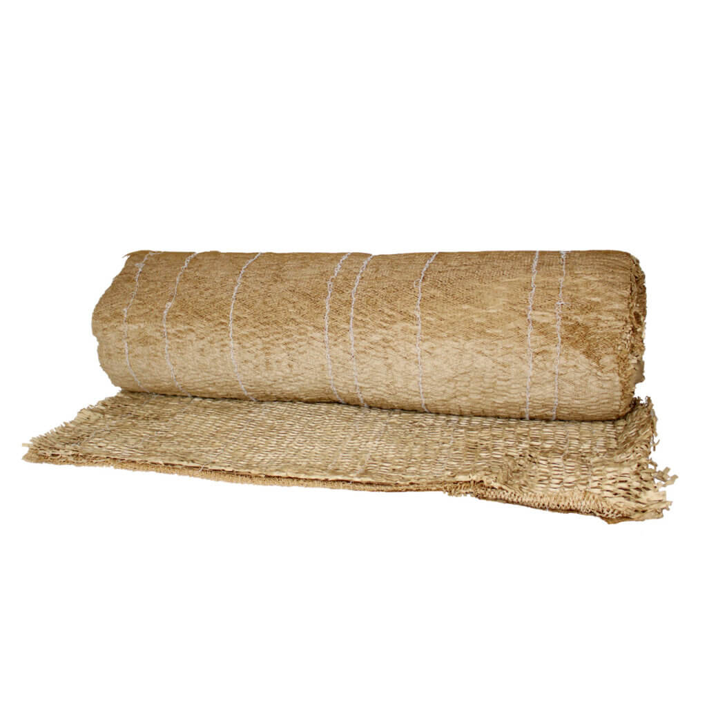 Illustration Colombus